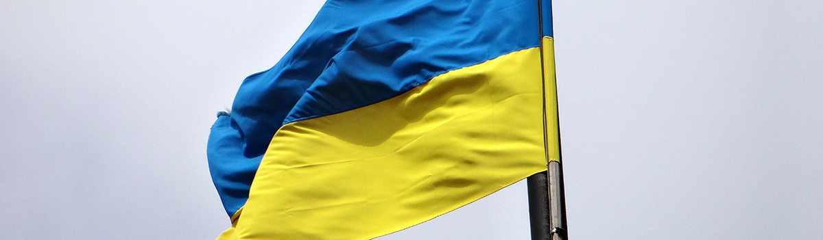 bandiera ucraina