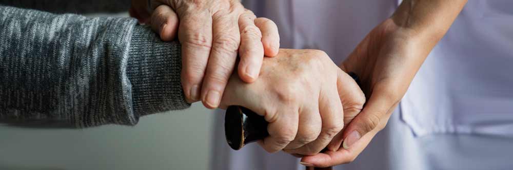 licenziamento badante