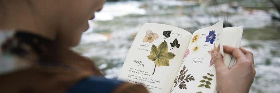 Le vacanze a tema scientifico: divertimento e formazione